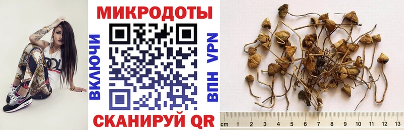 Галлюциногенные грибы GOLDEN TEACHER  Купить где  Оленегорск 