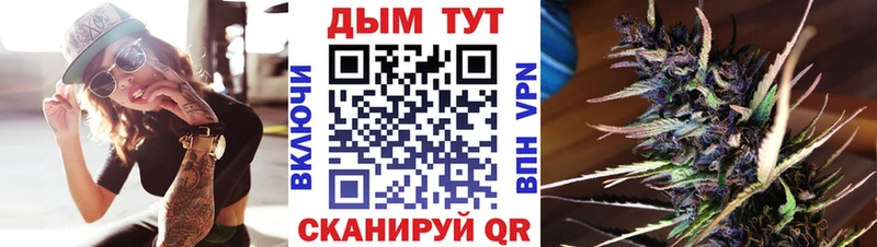 Купить  Оленегорск  Каннабис сатива 